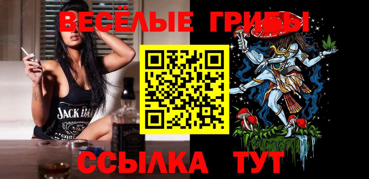 как найти закладки  Псилоцибиновые грибы ЛСД  Вход с VPN  Балашиха 